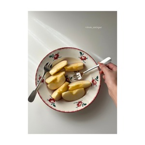 Luneville リュネヴィル / “SENLIS” 赤の小花の深皿プレート c