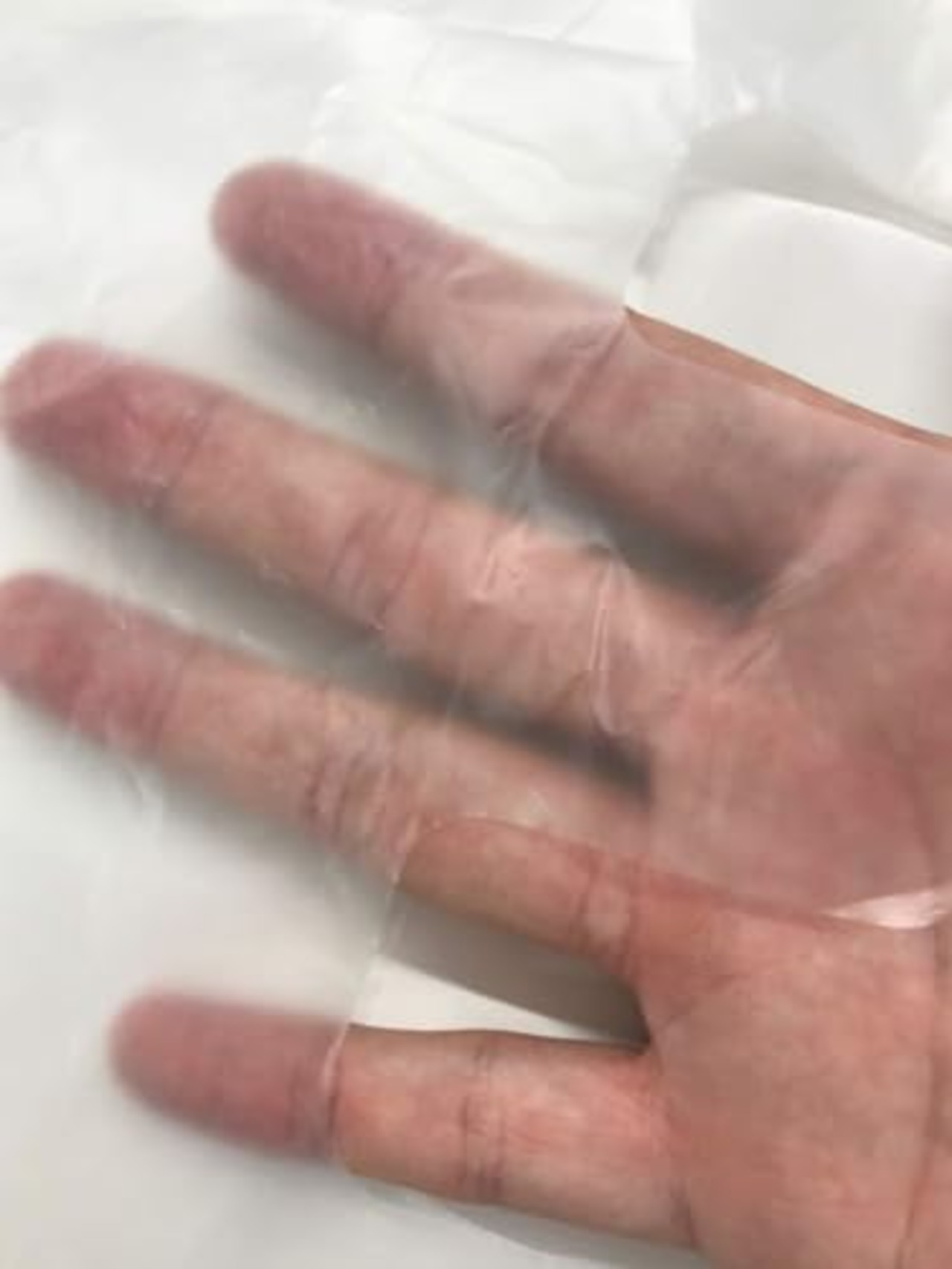 オルディ レジ袋 40号 L 半透明 100枚入 コンビニ袋 テイクアウト 取っ手付き ポリ袋 手提げ袋 エプロンライト EL-N40-100