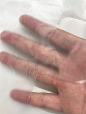 オルディ レジ袋 40号 L 半透明 100枚入 コンビニ袋 テイクアウト 取っ手付き ポリ袋 手提げ袋 エプロンライト EL-N40-100