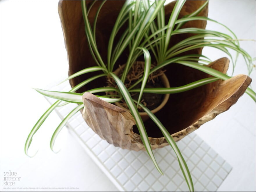 プリミティブ鉢カバーPrim プランツカバー 木鉢 プランツポット 樹鉢