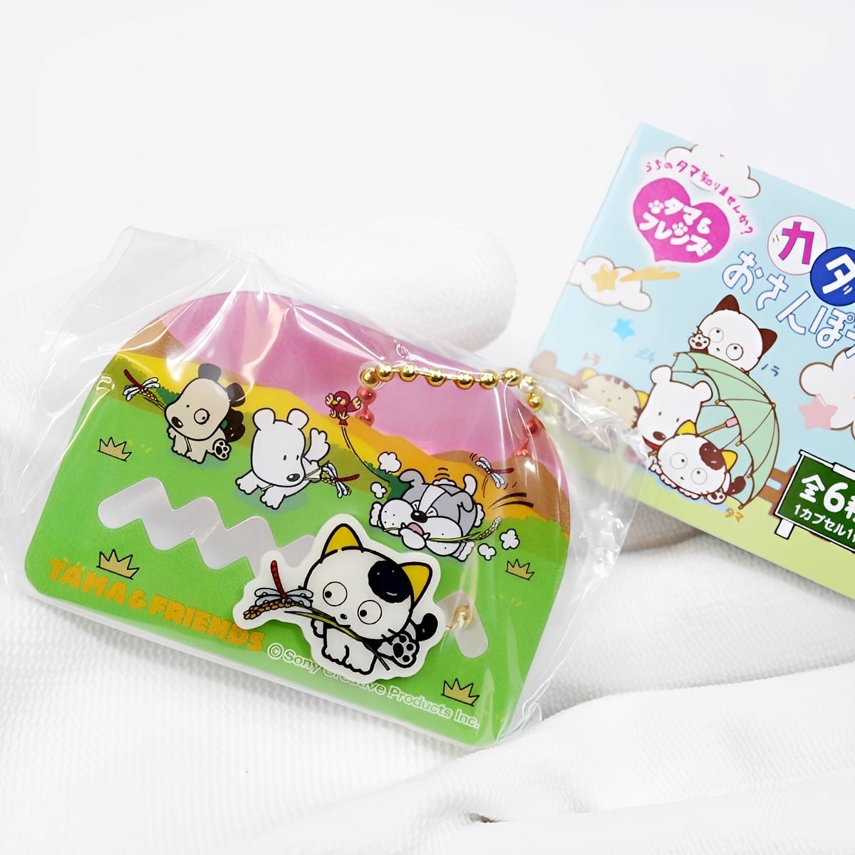 フルコンプ】 うちのタマ知りませんか？ タマ＆フレンズ カタカタお