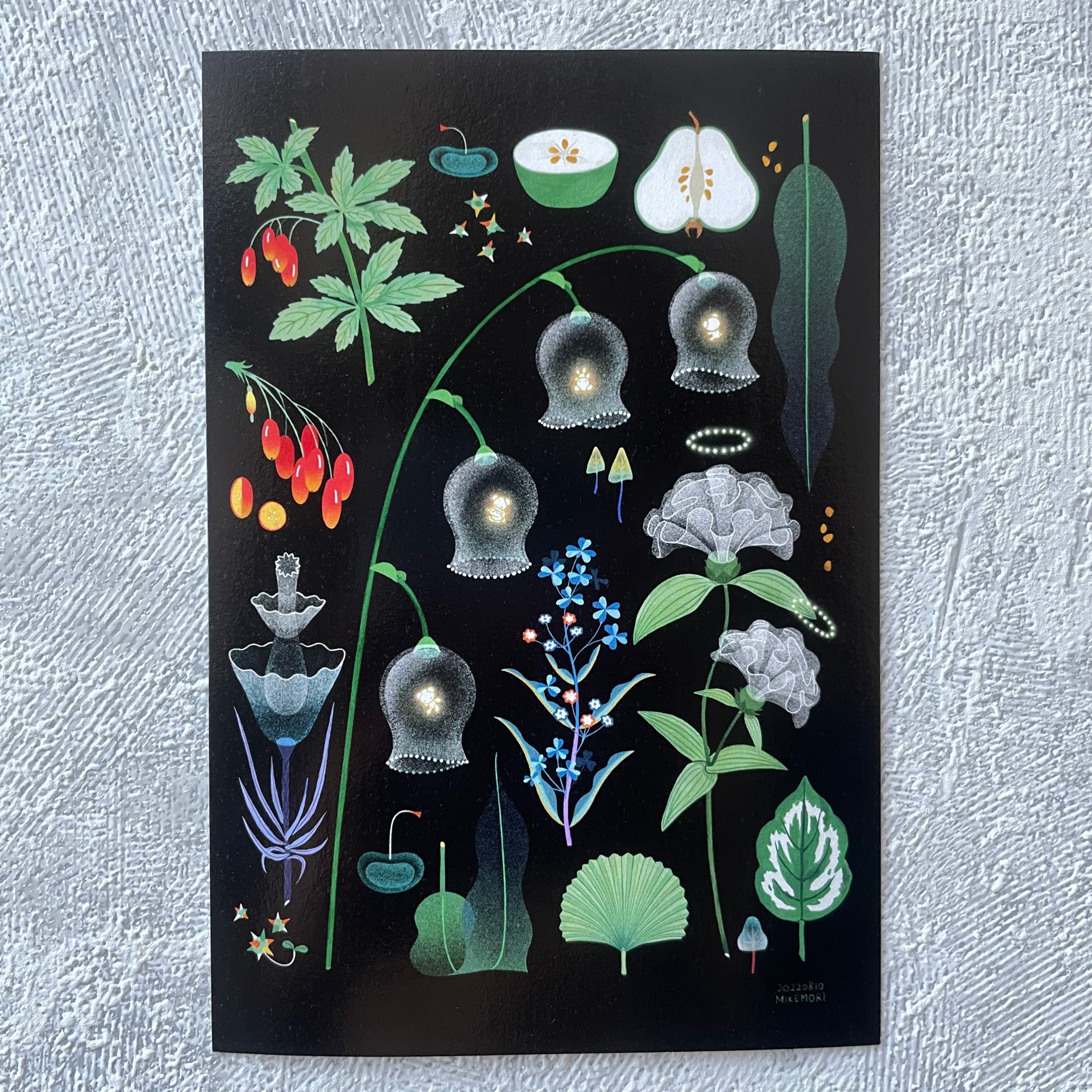 【非売品】言の葉の庭 来場者特典 ポストカード 3種セット 楽天市場】購入者特典：ポストカード（共通特典絵柄）付き