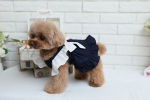Classical Dress/ネイビー