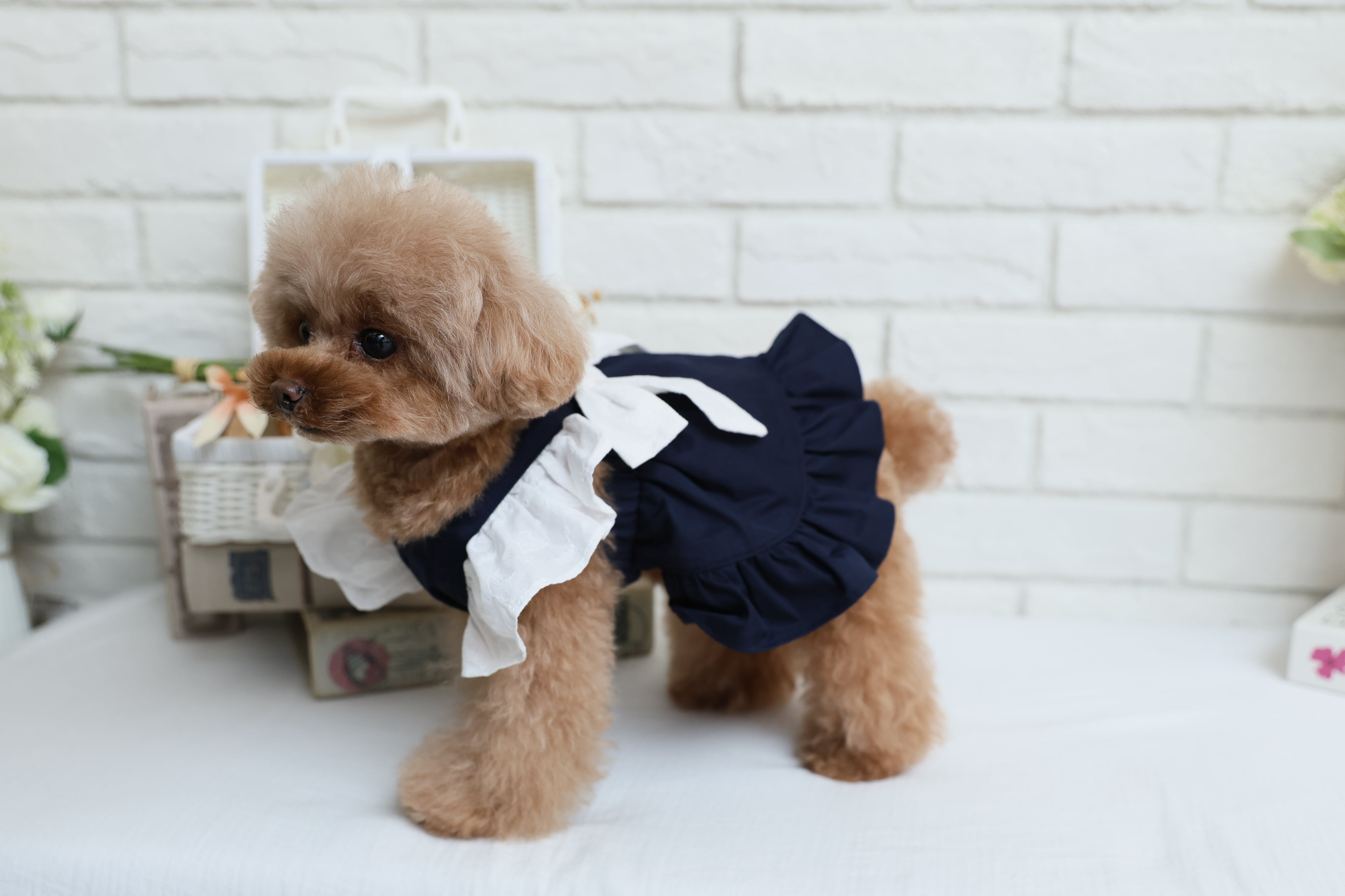 Classical Dress/ネイビー