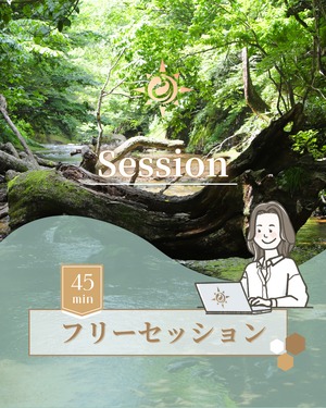 【フリーセッション】 霊視・透視・予知|45分(短時間で整理)