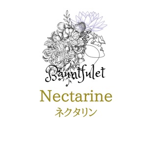 ネクタリン（Nectarine）100g