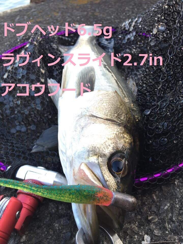 ドブヘッド6.5g・4.0g（ジグヘッド） | ルアーショップ REDHEAD