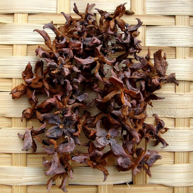 冷凍ヤワゲネズミS【50g〜59g】 | Pay ID