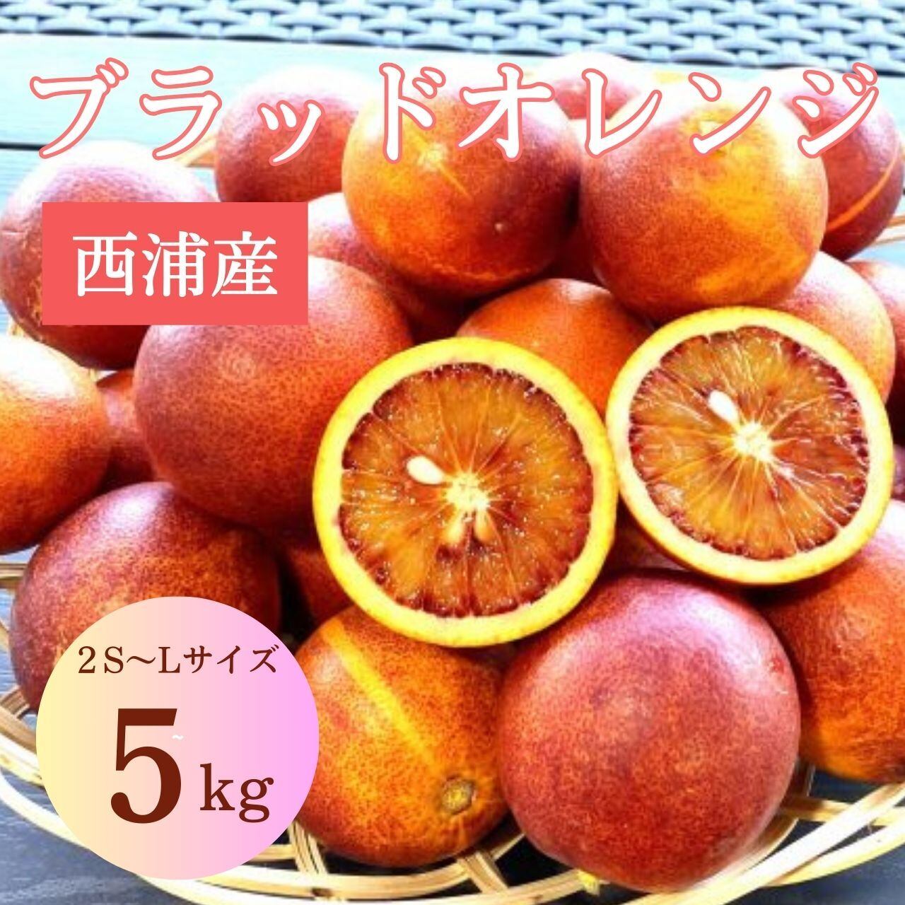 ブラッドオレンジ 3kg タロッコ 西浦産 2S～Lサイズ混合 | 木負観光