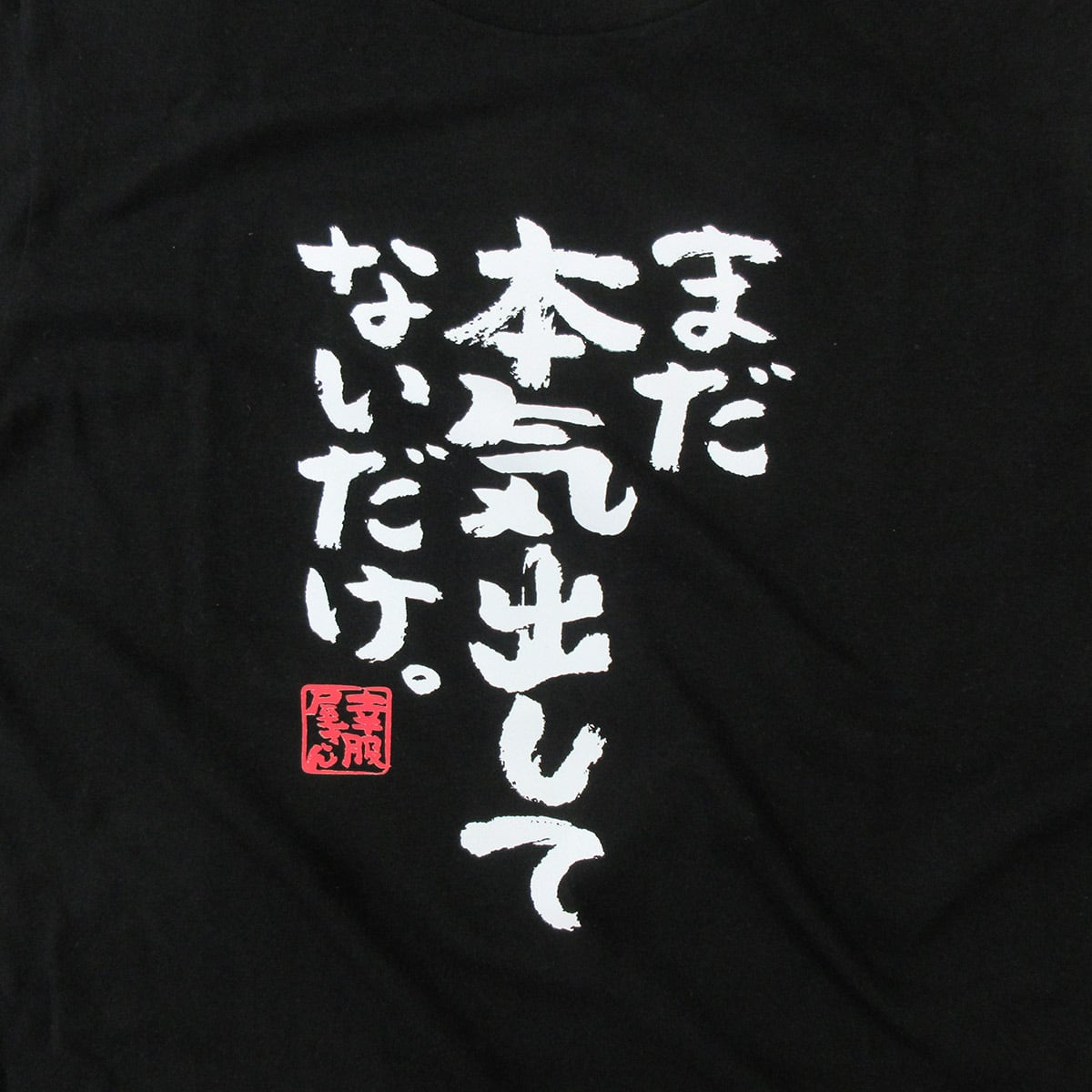Ｔシャツ 気になるものがありましたらコメントお待ちしております。 a35b5fb561fe7e9ad216b7fa0872e0