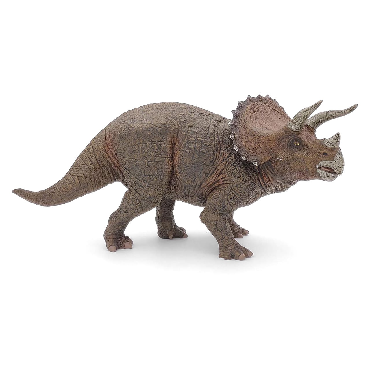 PAPO トリケラトプス | Earth8toys