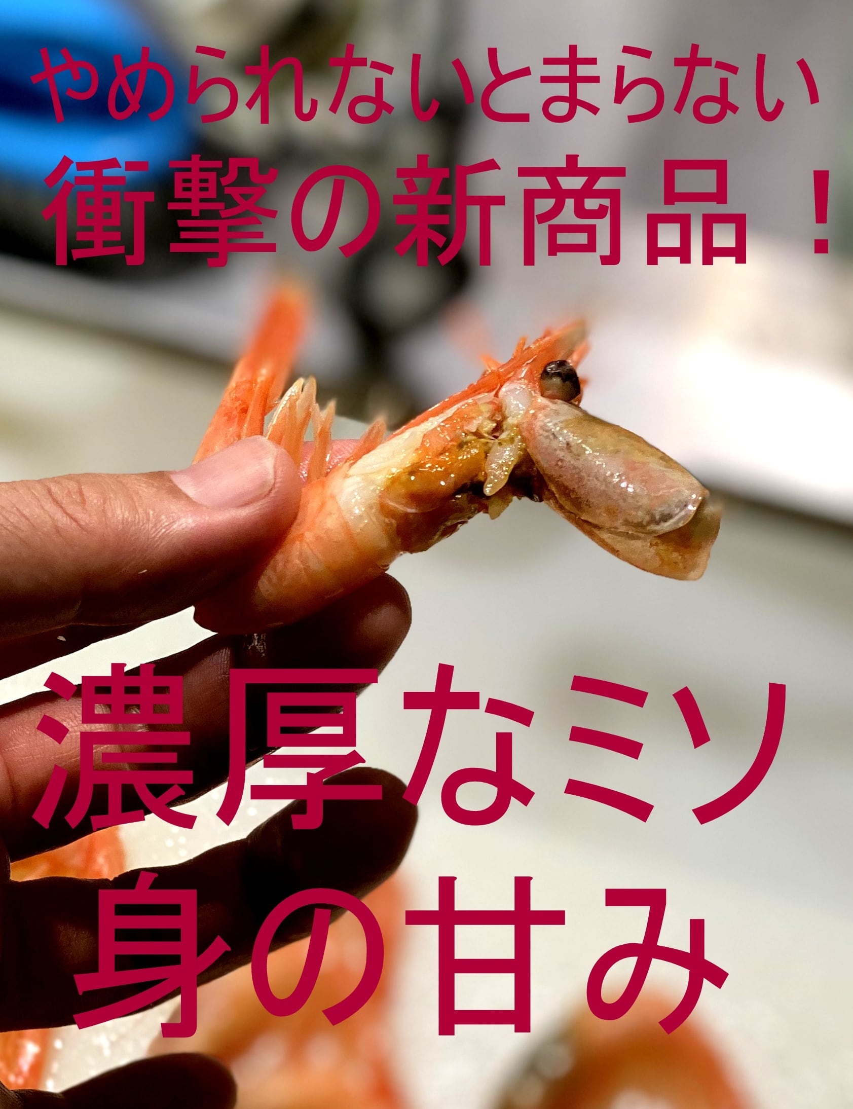 0084 待望の復活 冷凍 やめられないとまらない ボイル甘えび 500g 公式 羽田市場 漁師さん応援プロジェクト