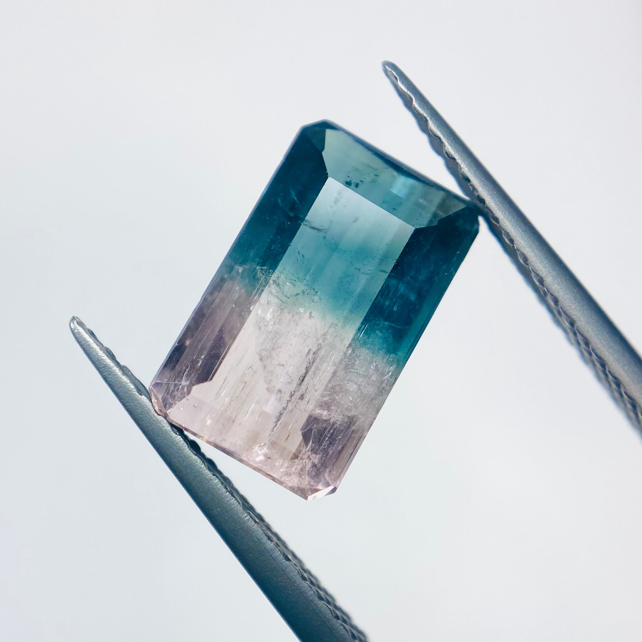 桜満開海景色 バイカラートルマリン