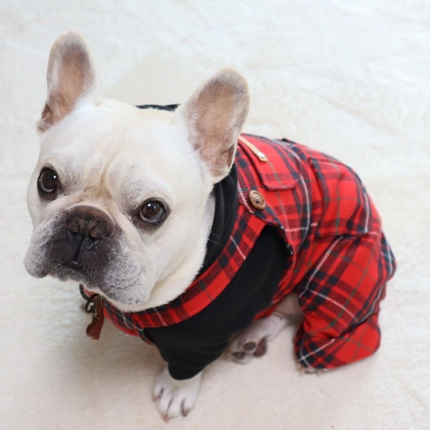 ⑱確認用ページ　ニット生地　ハンドメイド　犬服　フレブル　小型犬 ⑱確認用ページ ニット生地 ハンドメイド 犬服 フレブル 小型犬 【公式