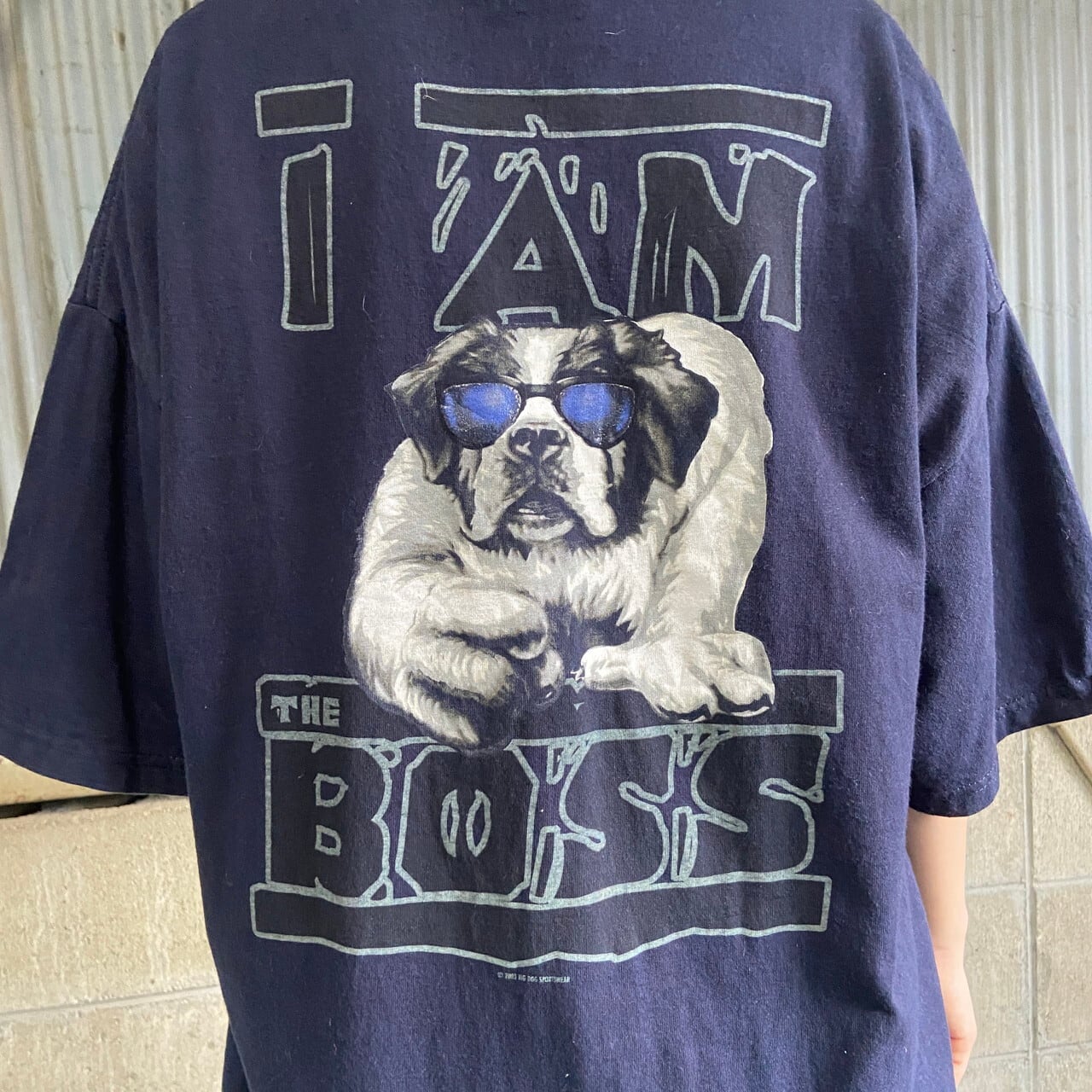 00年代 BIG DOGS ビッグドッグス アニマル バックプリントTシャツ メンズXL 古着 00s ビンテージ ヴィンテージ 胸ロゴ 犬 動物  ネイビー 紺色【Tシャツ】【AN20】 | cave 古着屋【公式】古着通販サイト