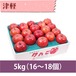 【りんご】津軽 5kg（16〜20個）
