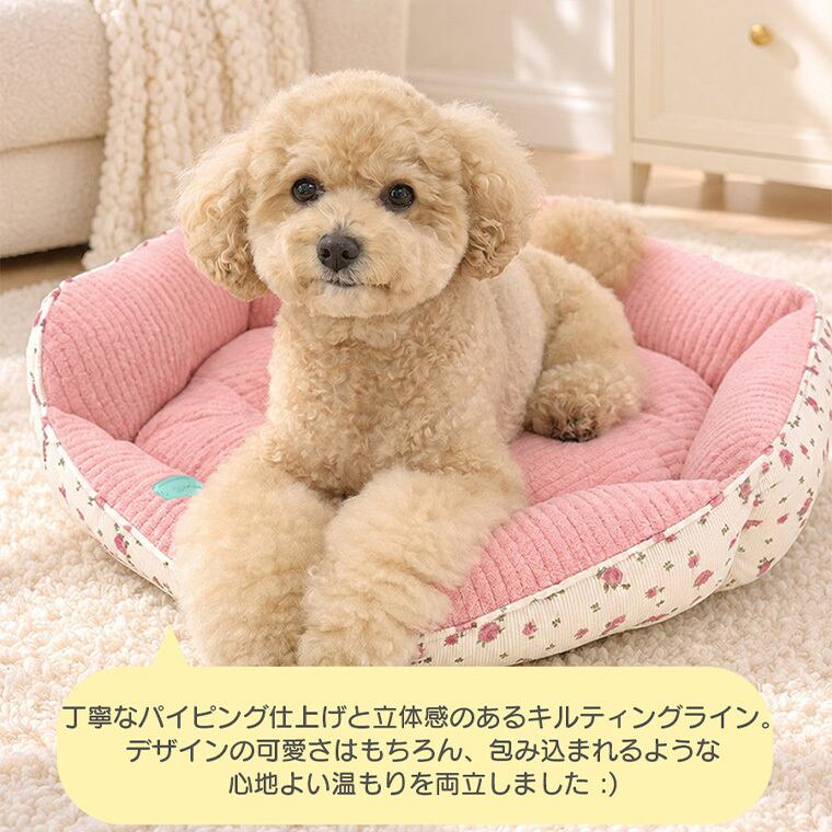【予約販売10%OFF】jelly bear reversible bed 2color / 犬用 ベッド リバーシブル 両面 ふんわり 冬 可愛い クッション ペットマット 猫用 韓国 ペット用品 小型犬 中型犬 ハウス 高級 犬 ペットベッド