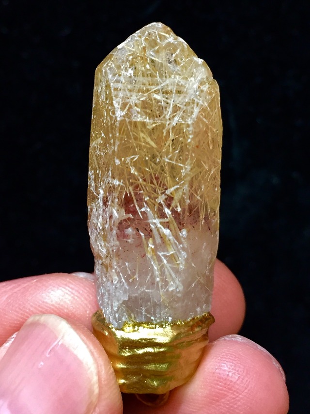 10) 超希少！突然変異「ナイジェリア・ドリーム」PT