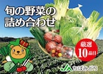 【１０品目】旬の野菜セット