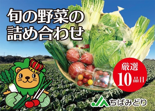 【１０品目】旬の野菜セット