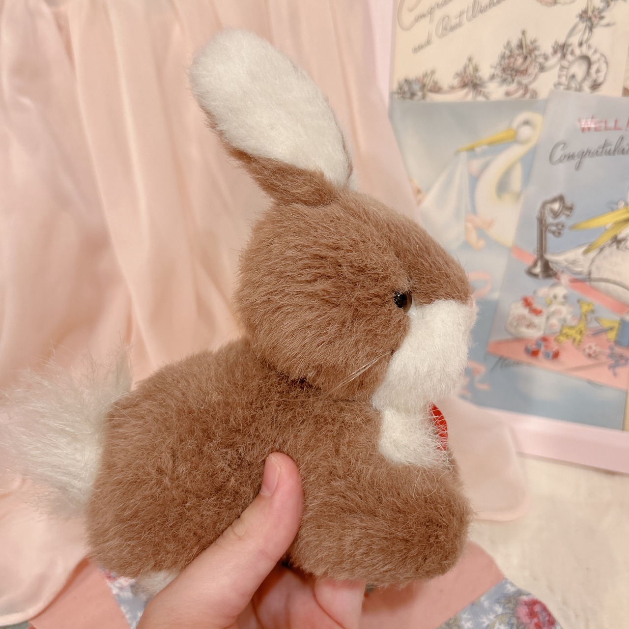 brown bunnyの画像03