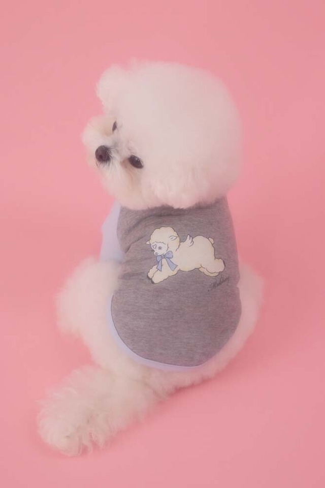 〈即納アイテム 〉PEBBLES / BELL RAGLAN TEE Tシャツ