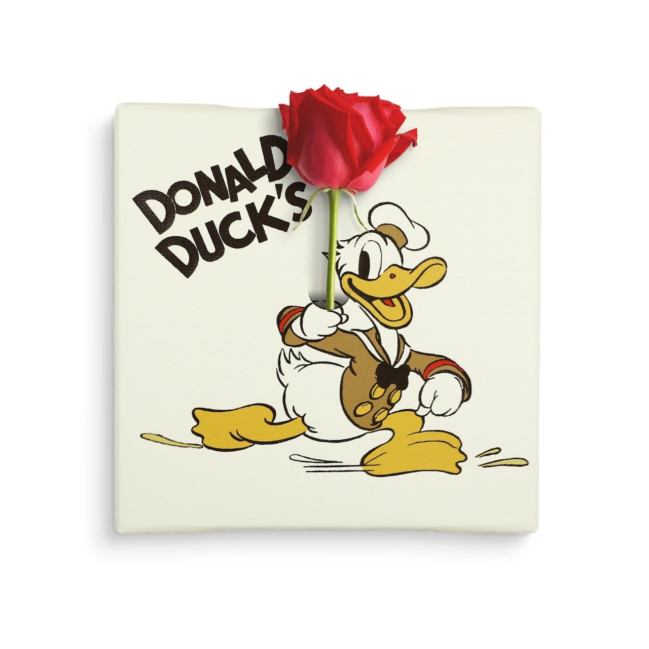 6419d7435f35cef6e1084e198ca535