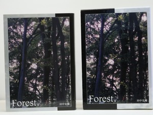 Forest。　/　田中宏輔　　[31638]