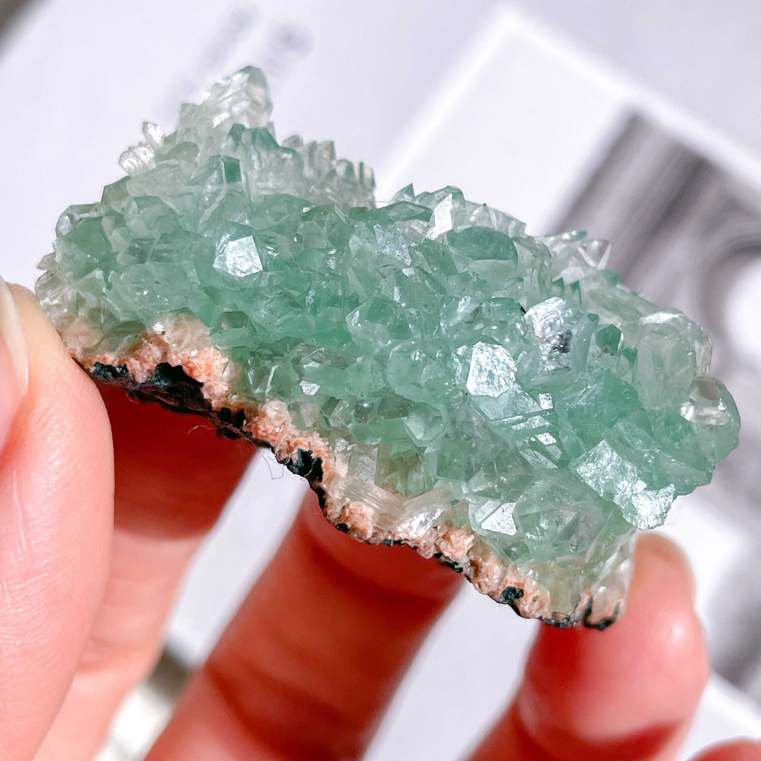 Flower Green Apophyllite 14 ✧ フラワーグリーンアポフィライト