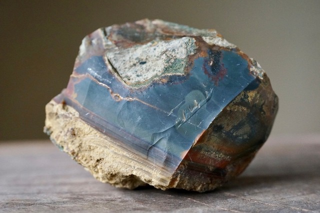 ブルーマウンテンジャスパー Jasper  ⑦