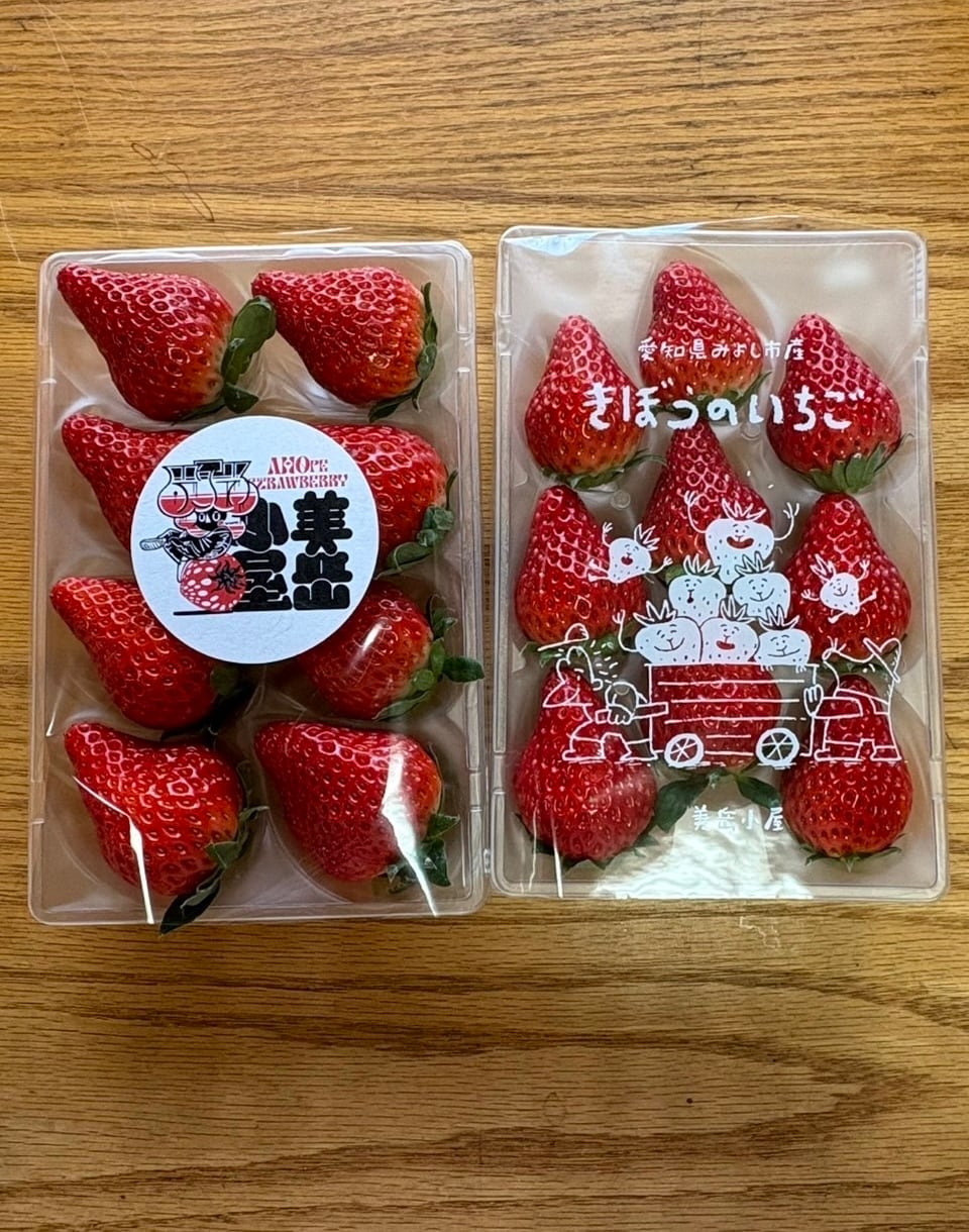 ⭐︎送料無料⭐︎きぼうのいちごとA HOpe Strawberry食べ比べセット