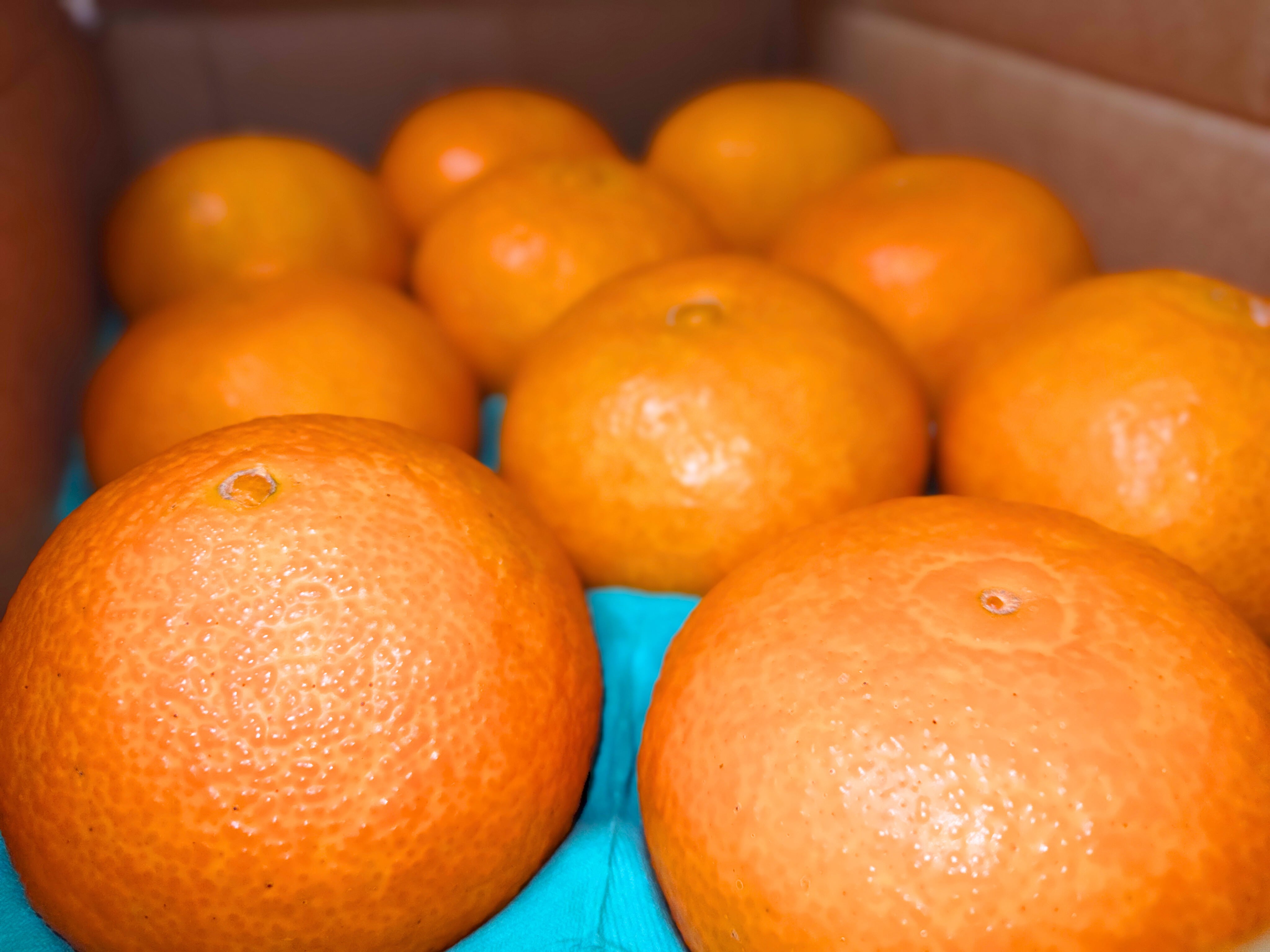 愛媛2788様 数量限定 5点のみ】松本農園 まどんな 3L10玉／愛媛県中島産 | 八百繋