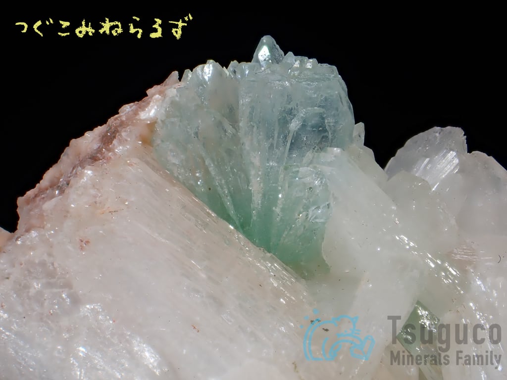 魚眼石 アポフィライト 3共生 インド 原石 鉱物 フローライト 006 アポフィライト（魚眼石）原石｜約179.7g｜インド・プネー産（プーナ産