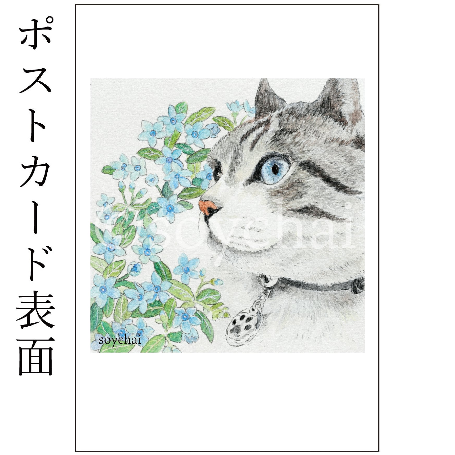 三毛猫さん+朝顔] ポストカード | soychai