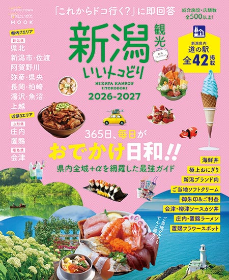 Archive series the pillows | 『月刊にいがた』の本