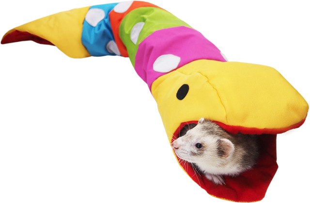 【フェレット用品】カラフルスネーク