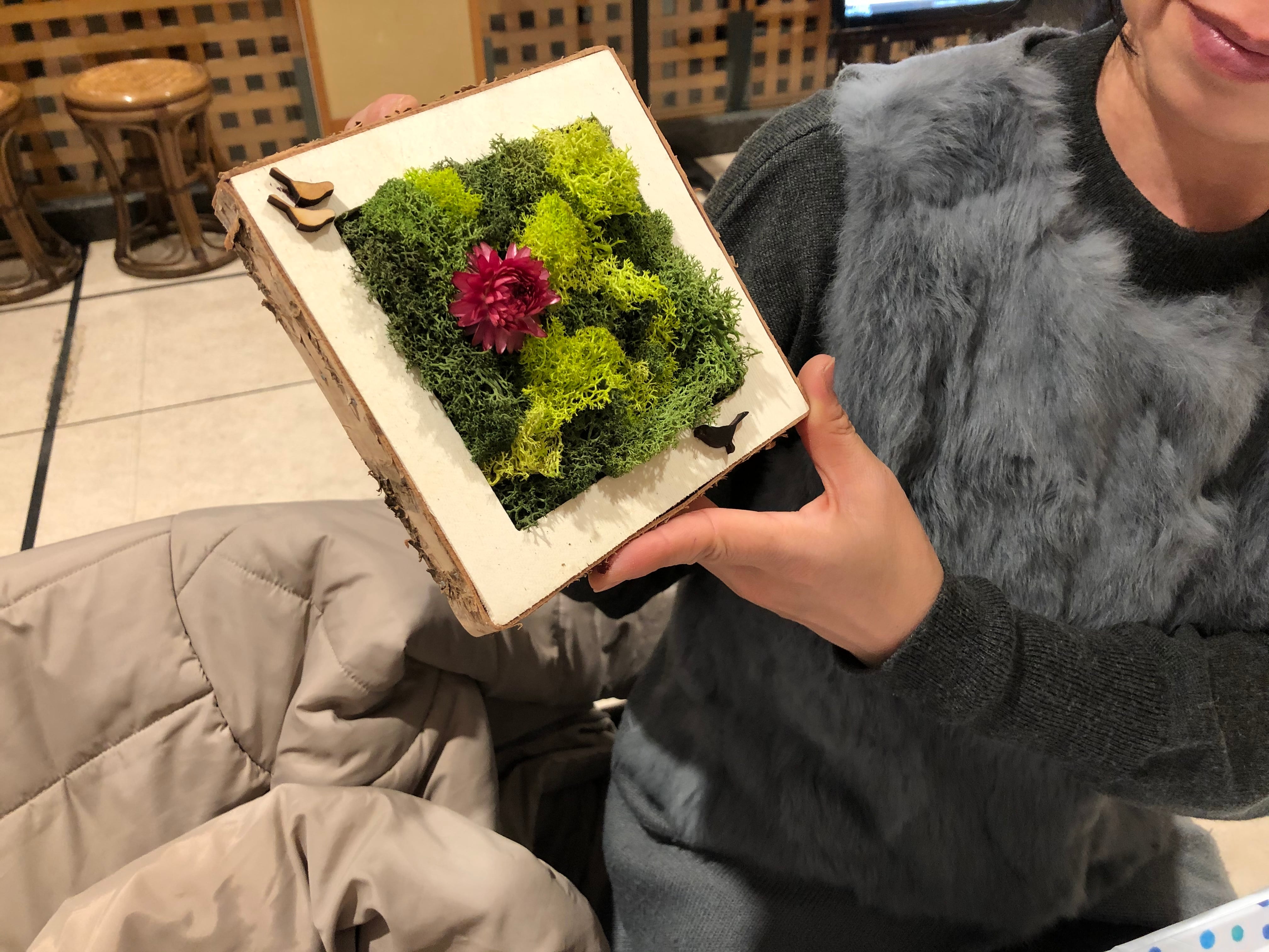 手作り 制作キット おしゃれな壁掛けモス インテリア オレンジグリーン