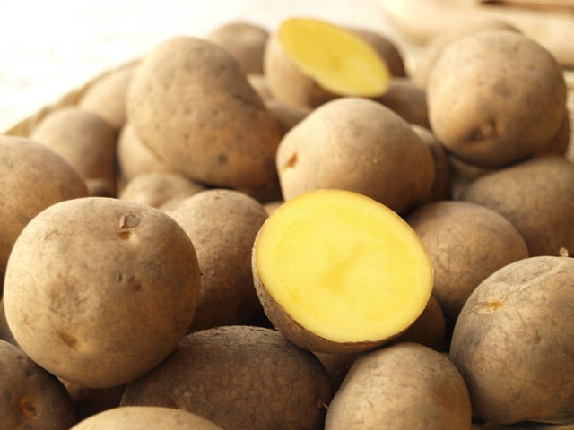 【リニューアル!】野菜計画の"濃い味"野菜箱(*隔週配送)