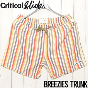 ［訳あり商品］ボードショーツ サーフパンツ Critical Slide クリティカルスライド TCSS ティーシーエスエス BREEZIES TRUNK BS221534