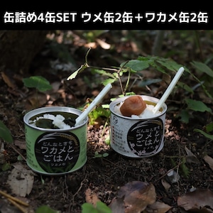 缶詰め4缶SET ウメ缶2缶＋ワカメ缶2缶