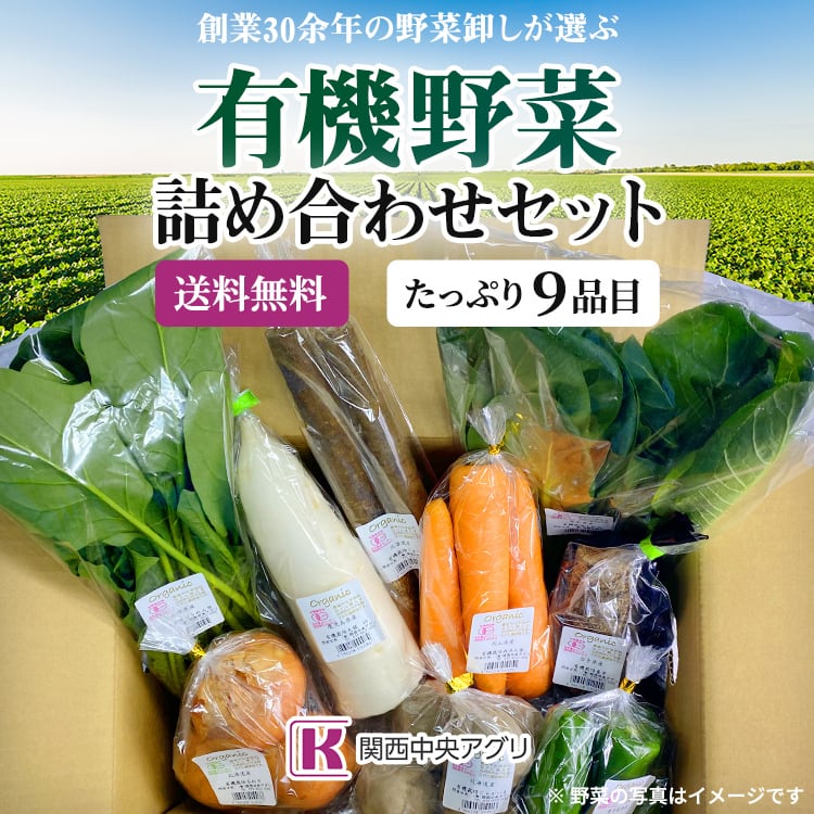 ※北海道、沖縄、離島には発送できません。　毎月1回の定期便☆有機野菜9品目セット　関西中央アグリ