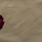 バレエ 衣装 Chacott チャコット レオタード レッスンウェア ホワイト系 オフホワイト系 日本製 花柄 バラ柄 植物柄 半袖 ピンク系 パープル系 グリーン系 白 紫 緑 社交ダンス 華やか 鮮やか かわいい おしゃれ 上品 大人っぽい ダンス ダンス衣装 練習 レッスン 練習着