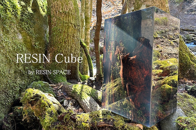 RESIN Cube　【bosco】