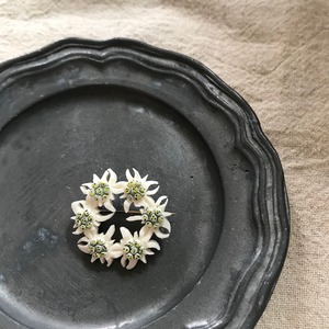 エーデルワイスのブローチ1
