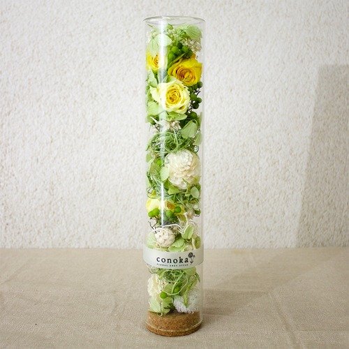 【2026 Mother's Day　CPB-YM5ボトルプリザーブドフラワーM（イエロー）】母の日｜母の日ギフト｜母の日　プリザーブド｜