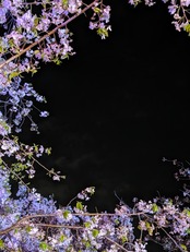 【_may様専用】フローライト Weisseck, Lungau, Salzburg, Austria AR69000916