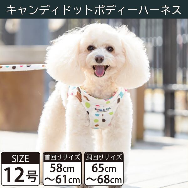 【受注生産品】Toto&Pal(トトパル) ボディーハーネス・キャンディドット(12号)