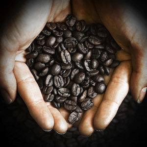 コーヒー豆３種セット(100g×3個) ※送料無料