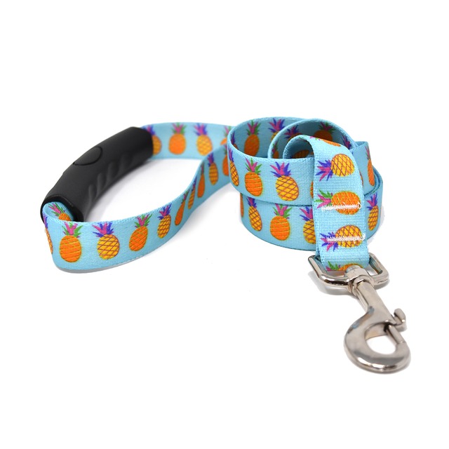 Pineapple Party　首輪＋リードセット Mサイズ - Yellow Dog Design