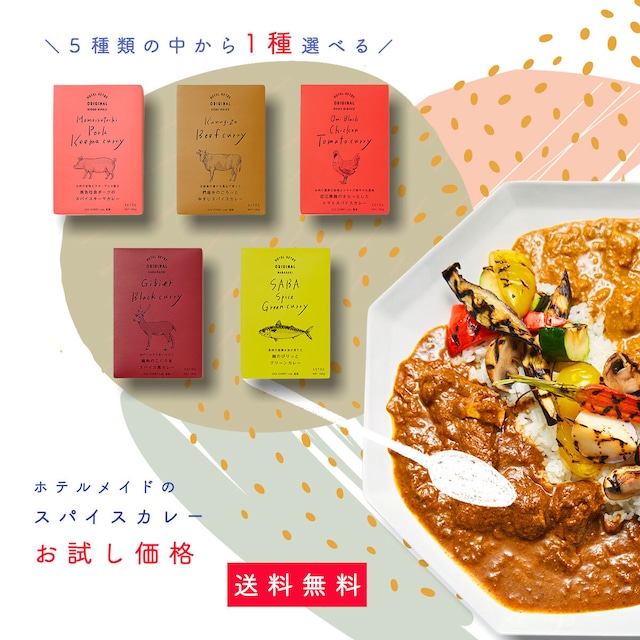 スパイスカレー｜ホテルメイドのレトルトカレーお試し価格【牛・豚・鶏・サバ・鹿肉】｜送料無料【ネコポス便】